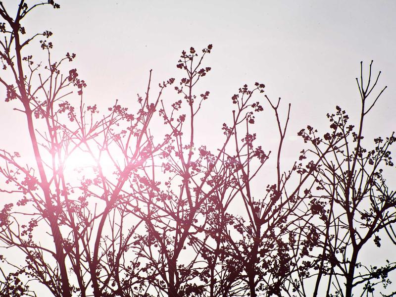 sudoku mouse controls screenshot 5